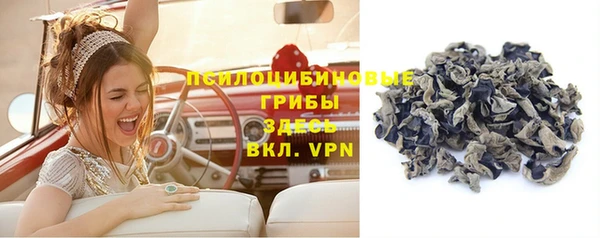 гидропоника Алзамай