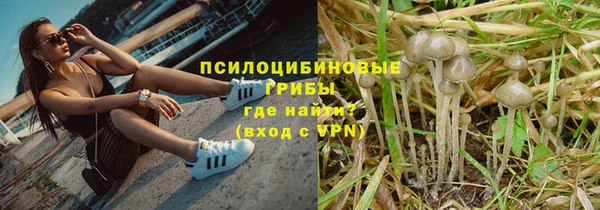 стаф Абдулино